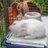 Фото #7 товара Клетка для кролика Ferplast Rabbit 120 металл и пластик 11,8 x 58,5 x 49,5 см