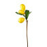 Фото #2 товара Искусственные цветы SIA Японская мушмула Mispelstängel