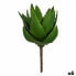 Фото #1 товара Декоративное растение Алоэ Вера 13 x 24,5 x 14 cm Зеленый Пластик (6 штук)