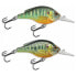 Фото #2 товара LIVE TARGET Pumpkinseed PS57S Floating crankbait 7g 60 mm