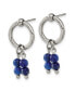 Stainless Steel Polished with Lapis Dangle Earrings