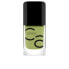 Фото #18 товара ICONAILS gel nail polish #176-Underneath The Olive Tree 10.5 ml