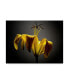 Фото #1 товара James Mcloughlin Studio Flowers V Canvas Art - 37" x 49"
