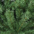 Фото #8 товара Weihnachtsbaum Ametista