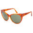 Фото #1 товара Очки LGR SIWA-HAVANA02 Sunglasses