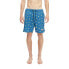 Фото #2 товара HYDROPONIC 16´ Dragon Ball Z Kintoun Swimming Shorts