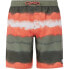 Фото #2 товара PROTEST Abel Swimming Shorts