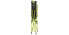 Coleman Bungee - 136 kg - Camping chair - 4 leg(s) - 5 kg - Mesh,Nylon,Polyester - Gray - Lime