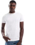 Superdry Cotton essential logo t-shirt in optic/optic