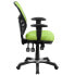 Фото #1 товара Mid-Back Green Mesh Multifunction Executive Swivel Chair With Adjustable Arms