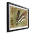 Gerahmtes Bild Feather of Pheasant