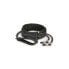 Фото #1 товара Leather Collar With Nipple Chains