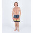 Фото #4 товара HURLEY Cannonball Volley 17´´ Swimming Shorts