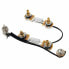 Mojotone Semi-Hollow Prewired Harness