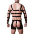 Фото #2 товара Harness-Set, 4‑teilig