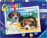 Фото #1 товара Развивающая и обучающая игрушка Ravensburger Malowanka CreArt dla dzieci Szczeniaczki Jack Russel