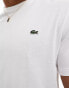 Lacoste logo t-shirt in white