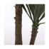 Фото #5 товара Декоративное растение Mica Decorations Yucca (120 x 60 cm)