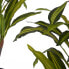 Фото #2 товара Декоративное растение Широкое лезвие Зеленый Пластик (60 x 90 x 60 cm)