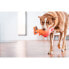 Фото #2 товара Игрушка для собак Red Dingo 23,5 cm Кенгуру Внутренность/Внешний