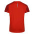 ფოტო #4 პროდუქტის DARE2B Discernible short sleeve T-shirt