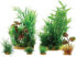 Zolux Dekoracja roślinna PlantKit Jalaya model 2 (352146)