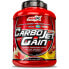 Фото #1 товара AMIX CarboJet Gain 4kg Carbohydrate & Protein Strawberry