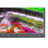 Фото #7 товара NEC Display MultiSync EA271F 68.6 cm/27" Flat Screen - 1,920x1,080 LED-Backlight TFT