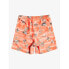 Фото #4 товара QUIKSILVER Scenic 15 Swimming Shorts