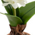 Фото #4 товара Декоративное растение BB Home полиэстер полиэтилен железо меламин 9,5 x 9,5 x 29 см