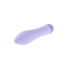 Bullet Vibrator Evolved Purple