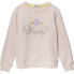 Фото #1 товара REPLAY SG2059.068.23706 sweatshirt