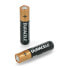 Фото #2 товара Duracell Duralock AAA (R3 LR03) alkaline battery - 4pcs.