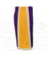 ფოტო #4 პროდუქტის Big Boys Purple Los Angeles Lakers Hardwood Classics Swingman Shorts