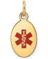 ფოტო #1 პროდუქტის Medical Info Charm Pendant in 14k Gold