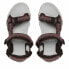 Mountain sandals Campagnolo CMP Hamal Hiking Brown