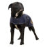 Фото #2 товара DIEGO & LOUNA Teddy Nylon Dog Jacket