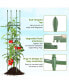 2-Pack Garden Trellis 56" Plant Support & Tomato Cages with Adjustable Height