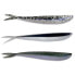 Lunker City Fin-S Fish Soft Lure 145 mm