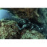Фото #9 товара Гидрокостюм Cressi Scorfano Ultraspan Seal Spearfishing Jacket 5 мм