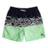 Фото #1 товара BILLABONG Tribong Lb Swimming Shorts