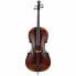 Gewa Germania 11 Paris Antik Cello