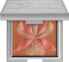 Highlighter-Rouge mit Weißer Lilie - Sisley L'Orchidee Highlighter Blush with White Lily 01