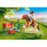 PLAYMOBIL Collectible Pony Connemara