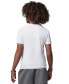 ფოტო #2 პროდუქტის Big Boys Jumpman Flight Chrome Short Sleeve T-Shirt