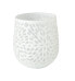 Фото #1 товара Vase White Carved