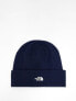 Фото #1 товара The North Face Norm beanie in navy