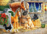 Castorland Puzzle Gathering Friends 120 elementów (241110)