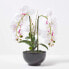 Фото #4 товара Künstliche weiß-pinke Phalaenopsis