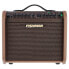 Fishman Loudbox Mini Charge Bundle